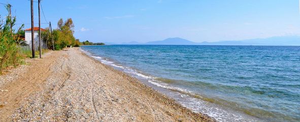 Πρόστιμο από το Λιμενικό σε κολυμβητή σε παραλία της Αγριάς… γιατί δεν φορούσε μάσκα