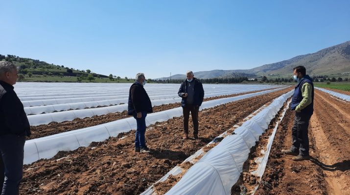 Επίσπευση των εκτιμήσεων για αποζημιώσεις των καλλιεργειών που επλήγησαν από παγετό στο Δήμο Τεμπών ζητάει ο Γιώργος Μανώλης
