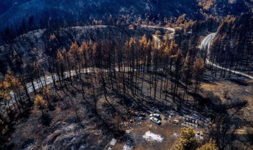 11.370 στρέμματα κάηκαν το καλοκαίρι στη Θεσσαλία