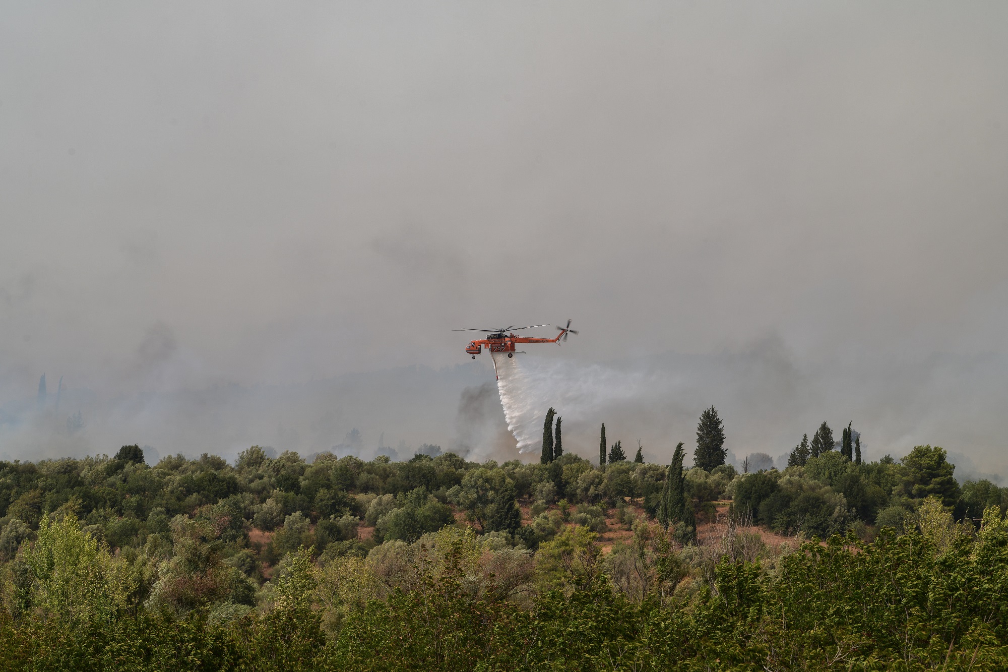 Παρεμβάσεις του Πυροσβεστικού Σώματος σε 33 δασικές πυρκαγιές