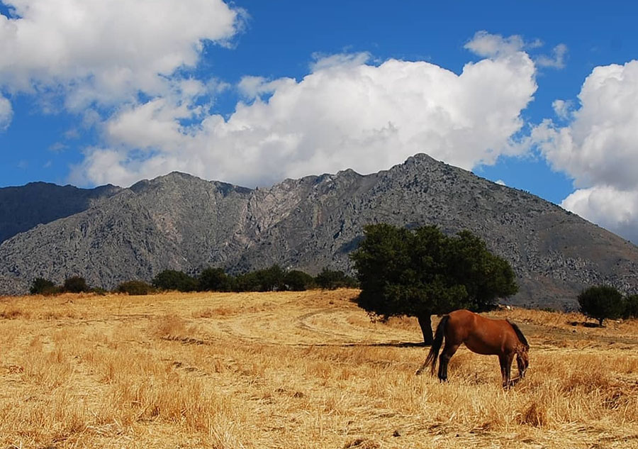 Ακυρώνονται άδειες για αιολικά πάρκα: Τα 6 «απάτητα βουνά» της Ελλάδας που μπαίνουν σε καθεστώς απόλυτης προστασίας