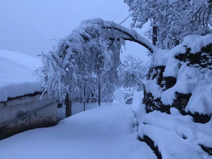 Περιφέρεια Θεσσαλίας: Έκτακτο Δελτίο Επικίνδυνων Καιρικών Φαινομένων - Έρχονται χιόνια