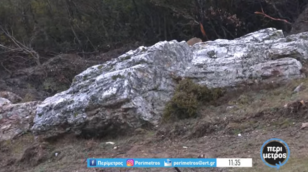 Απολιθωμένο δέντρο 20 εκατομμυρίων ετών στο Σαραντάπορο Λάρισας (video)