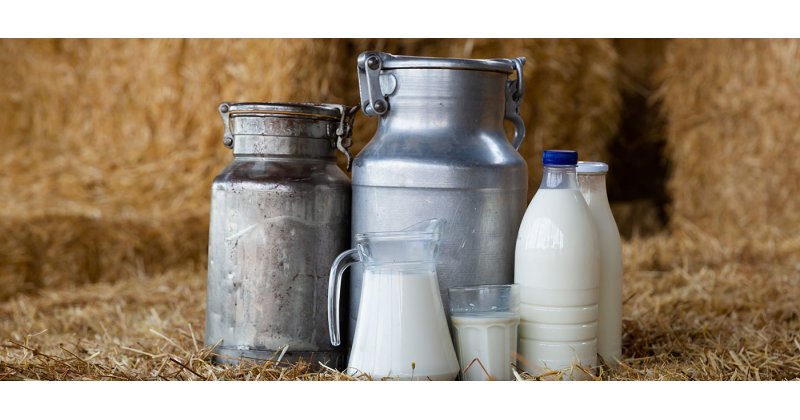 Στα 1,80 ευρώ ο πήχης για το πρόβειο γάλα στο Λιβάδι Ελασσόνας