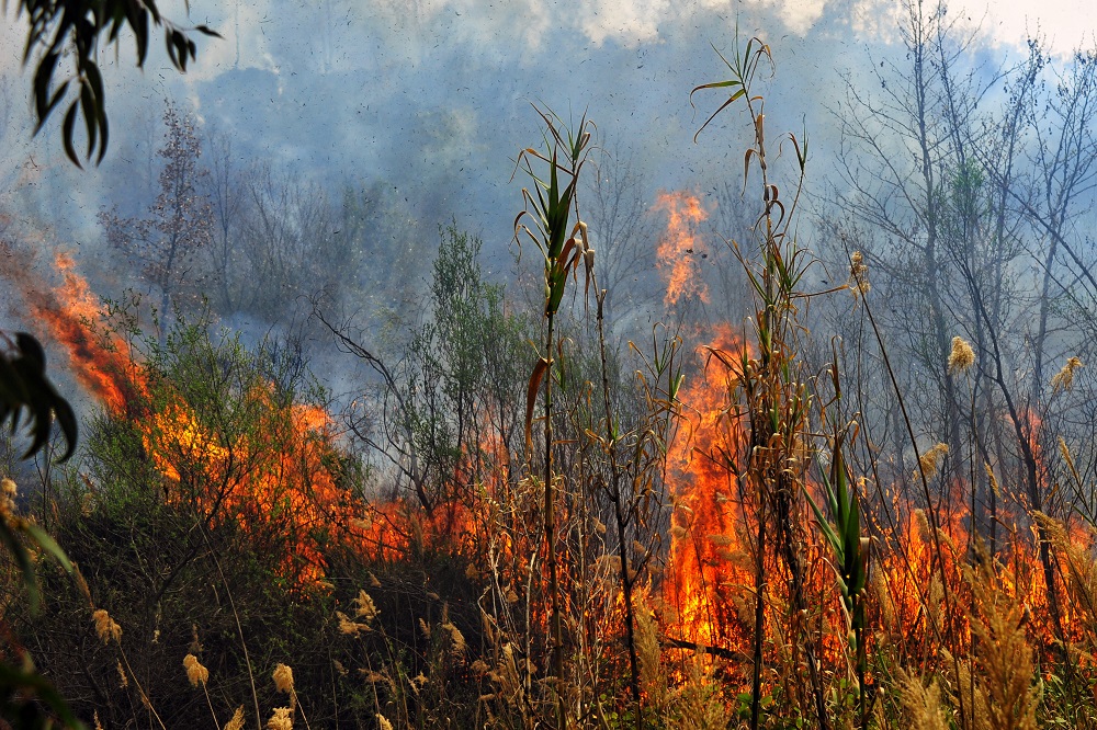 Λάρισα: Φωτιά στη Γιάννουλη - Καίγονται γεωργικά μηχανήματα - ΦΩΤΟΦΡΑΦΙΕΣ-ΒΙΝΤΕΟ