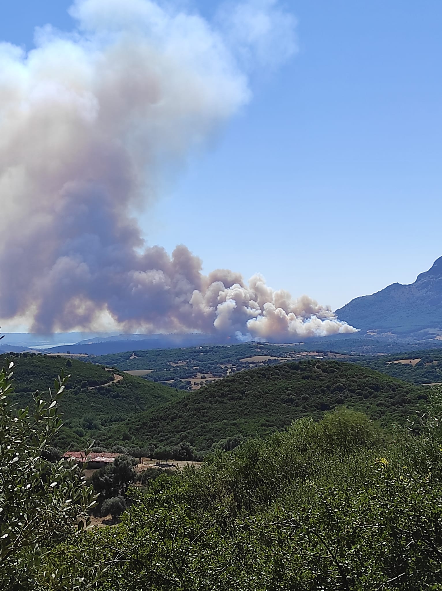 Σε εξέλιξη πύρινα μέτωπα σε Λευκάδα και Αχαΐα – Μεγάλος ο κίνδυνος πυρκαγιών και τη Δευτέρα