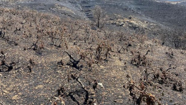 Φωτιά σε χορτολιβαδική έκταση στην περιοχή Αννινάτα Κεφαλληνίας