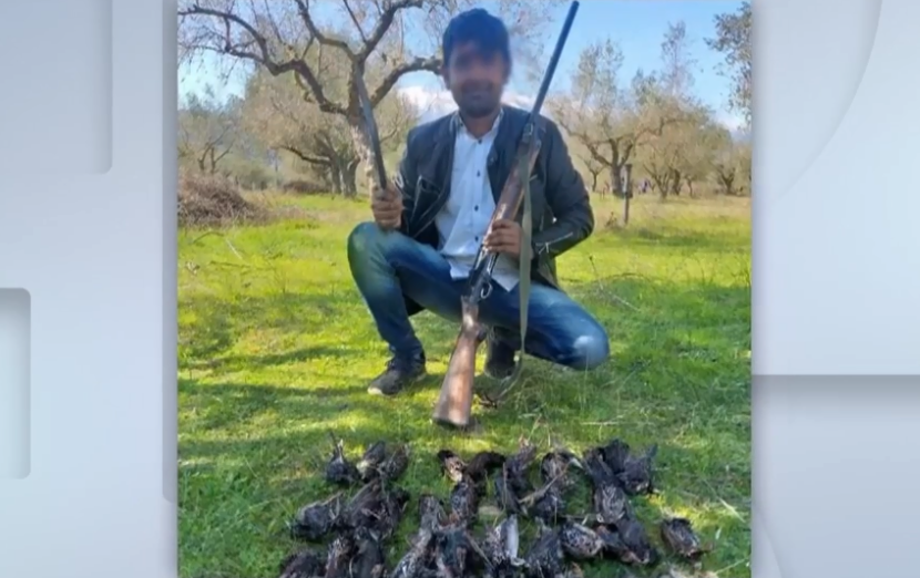 pakistanoi 5