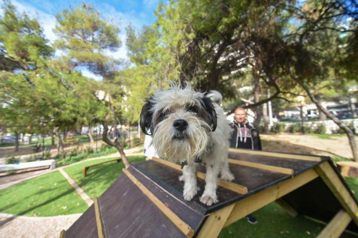 Τρία πάρκα για σκύλους θα κατασκευάσει ο Δήμος Λαρισαίων