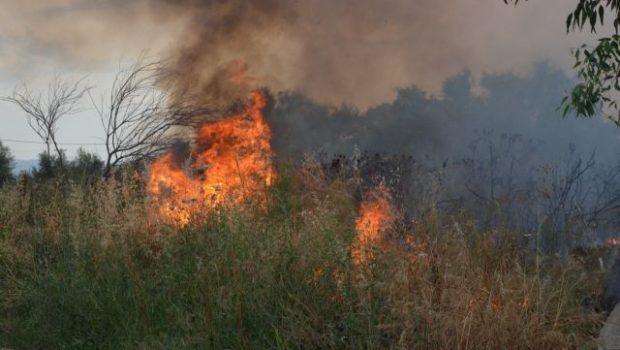 Φωτιά τώρα στη Ζάκυνθο: Μεγάλη κινητοποίηση της πυροσβεστικής
