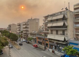Είναι επικίνδυνος ο καπνός που εισπνέουμε στην Λάρισα από τις φωτιές; Ο καθηγητής Γουργουλιάνης μας απαντάει