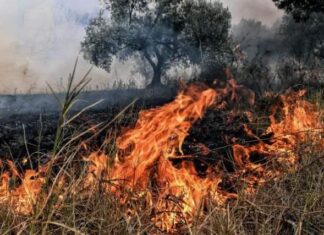 Λάρισα: Φωτιά έξω από το Πανεπιστήμιο στο campus “Γαιόπολις”