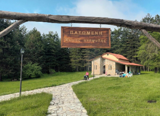 Παναγία «Πατωμένη» στην Καλλιπεύκη Λάρισας – Μια εκκλησία κρυμμένη μέσα σε πευκόδασος (φωτό)