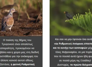 ΝΕΑ ΡΥΘΜΙΣΤΙΚΗ ΑΠΟΦΑΣΗ ΓΙΑ ΤΟ ΚΥΝΗΓΙ: ΜΙΑ ΠΡΩΤΟΦΑΝΗΣ ΟΠΙΣΘΟΔΡΟΜΗΣΗ!