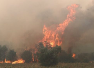 Σε ποιες περιοχές υπάρχει πολύ υψηλός κίνδυνος πυρκαγιάς την Τετάρτη