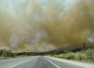 Παρέμβαση του Αρείου Πάγου για τις φωτιές αλλά και για το περιστατικό ρατσιστικής βίας στον Έβρο