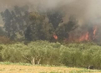Άλλες δύο πυρκαγιές στο Ηράκλειο – «Σηκώθηκαν» εναέρια μέσα Άλλες δύο πυρκαγιές στο Ηράκλειο – «Σηκώθηκαν» εναέρια μέσα
