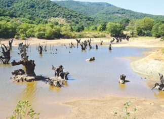Λάρισα: Η λίμνη με τα φυσικά γλυπτά, από άλλο …πλανήτη – ΦΩΤΟ