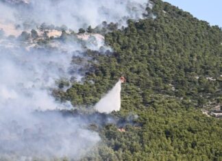 Γιάννης Αρτοποιός: Μην χρησιμοποιείτε drones στον εναέριο χώρο των πυρκαγιών – Μπορεί να προκληθεί ατύχημα