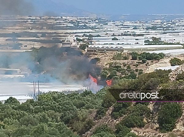 Νέο πύρινο μέτωπο στην Κρήτη στην περιοχή Πεζά – Μάχη να μην επεκταθεί