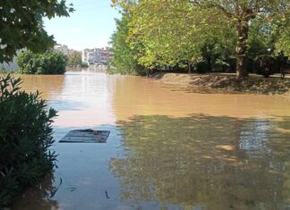 Υπερχείλισε ο Πηνειός -έντονα πλημμυρικά φαινόμενα στον Άγιο Θωμά (ΦΩΤΟ)
