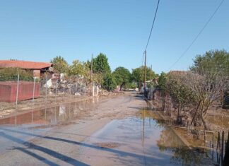 Λάρισα: Ντίνος Γιαννακόπουλος πρόεδρος ΙΣΛ: Κίνδυνος για ελονοσία στις πληγείσες περιοχές