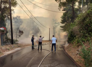 Σταμάτα: Μία σύλληψη για εμπρησμό από αμέλεια
