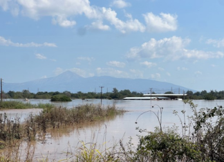 Πνίγηκαν 450 ζώα σε μονάδα στην Τερψιθέα Λάρισας