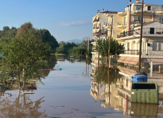 Θεσσαλία: Τα λιμνάζοντα νερά αυξάνουν τα κουνούπια – Κίνδυνος έξαρσης του ιού του Δυτικού Νείλου