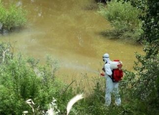 Πολύ χαμηλός είναι ο κίνδυνος για τον ιό του Δυτικού Νείλου στη Θεσσαλία