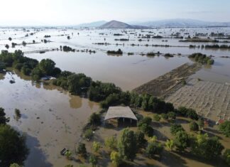 18 βιομηχανίες στην Λάρισα έπαθαν μεγάλες ζημιές – Κάποιες είναι σε αδιέξοδο