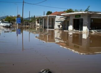 Λάρισα: Σε απόγνωση αγρότες και κτηνοτρόφοι – Έχασαν τα πάντα (βίντεο)
