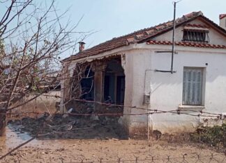Το χωριό της Λάρισας που πλημμύρισε και γέμισε ψάρια – ΦΩΤΟ