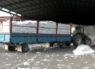 Mειωμένη κατά 30% η παραγωγή βαμβακιού – Αγωνία στα εκκοκκιστήρια της Θεσσαλίας