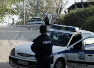 «Λαβράκι» έβγαλαν οι αστυνομικοί στη Λάρισα – Καλλιεργούσε χασισόδεντρα στο σπίτι του