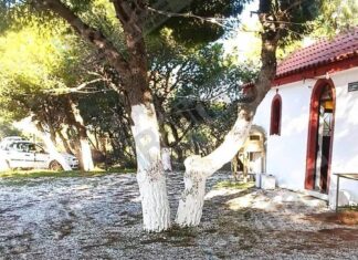 Νόμιζε ότι ήταν ψεύτικη κούκλα, έπαθε σοκ όταν πλησιάσε: 35χρονη βρέθηκε νεκρή σε δέντρο –Την αναζητούσε ο σύντροφός της