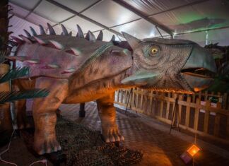 DINOSAURS LIVE ΣΤΗ ΛΑΡΙΣΑ !!! «ΝΕΑΠΟΛΗ – ΔΙΠΛΑ ΣΤΟ ΓΗΡΟΚΟΜΕΙΟ¨» ¨ΡΟΜΠΟΤΙΚΟΙ ΔΕΙΝΟΣΑΥΡΟΙ ΣΕ ΠΡΑΓΜΑΤΙΚΕΣ ΔΙΑΣΤΑΣΕΙΣ Από 20 ΔΕΚΕΜΒΡΙΟΥ ΕΩΣ 21 ΙΑΝΟΥΑΡΙΟΥ