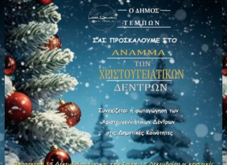 Συνεχίζονται σε γιορτινό ρυθμό οι φωταγωγήσεις των Χριστουγεννιάτικων Δέντρων στο Δ.Τεμπών