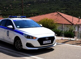 Ελασσόνα: Καλλιεργούσε χασίς σε γλάστρα