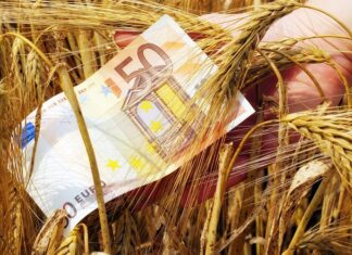Στα ΑΤΜ οι αγρότες – Πληρωμές ύψους 451 εκατομμυρίων ευρώ