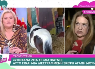 Έξαλλη η Ευείδη με τον Μπέο και τα ζωντανά ζώα στις φάτνες: «Αυτό είναι διεστραμμένη σκέψη, δεν είναι πολιτισμένο κράτος»