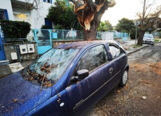 Πτώσεις δέντρων σε Λάρισα, Μαγνησία και διακοπές ρεύματος έφερε το μεταμεσονύχτιο μπουρίνι στη Θεσσαλία