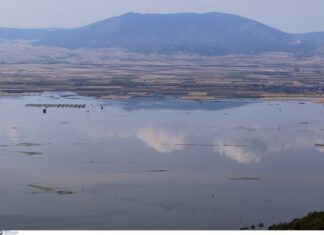 Αρης Τέγος για πλημμυρισμένες εκτάσεις στην Κάρλα: Έτσι θα αυξηθεί η εξάτμιση ώστε να φύγουν τα νερά!