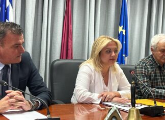 Νέα πρόεδρος του Δημοτικού Συμβουλίου η Γαρυφαλλιά Καρυστιανού (ΦΩΤΟ)