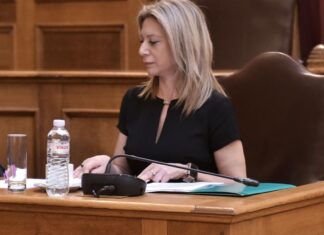 Εξεταστική για Τέμπη: Κατάθεση-γροθιά στο στομάχι από μητέρα θύματος (βίντεο)