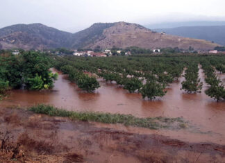 Λάρισα: Οι εισπρακτικές «χτυπούν» την πόρτα πλημμυροπαθών αγροτών για οφειλές στο αγροτικό ρεύμα – ΒΙΝΤΕΟ
