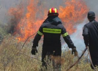 Περιφέρεια Θεσσαλίας: 633.506 ευρώ σε 147 δικαιούχους για τις πυρκαγιές του καλοκαιριού