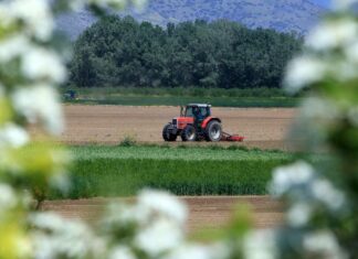 Αγροτικό ρεύμα: Πλήρης αναστολή πληρωμών για 2 χρόνια στους πληγέντες αγρότες