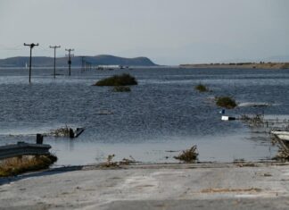 Το νέο συγκλονιστικό σποτ των Νέων Αγροτών της Λάρισας είναι γυρισμένο στις πλημμυρισμένες εκτάσεις της Κάρλας (video)