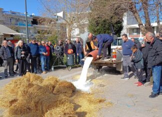 Έχυσαν γάλα και έριξαν άχυρα στην πλατεία των Φαρσάλων οι αγρότες- Δυναμικό συλλαλητήριο με τρακτέρ (ΦΩΤΟ)